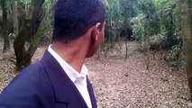 VÍDEO: Pastor é surpreendido por onça-parda durante pregação em mata de Vinhedo