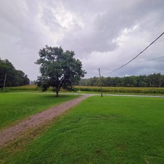 Feeling Purdy Good - Oliver Anthony