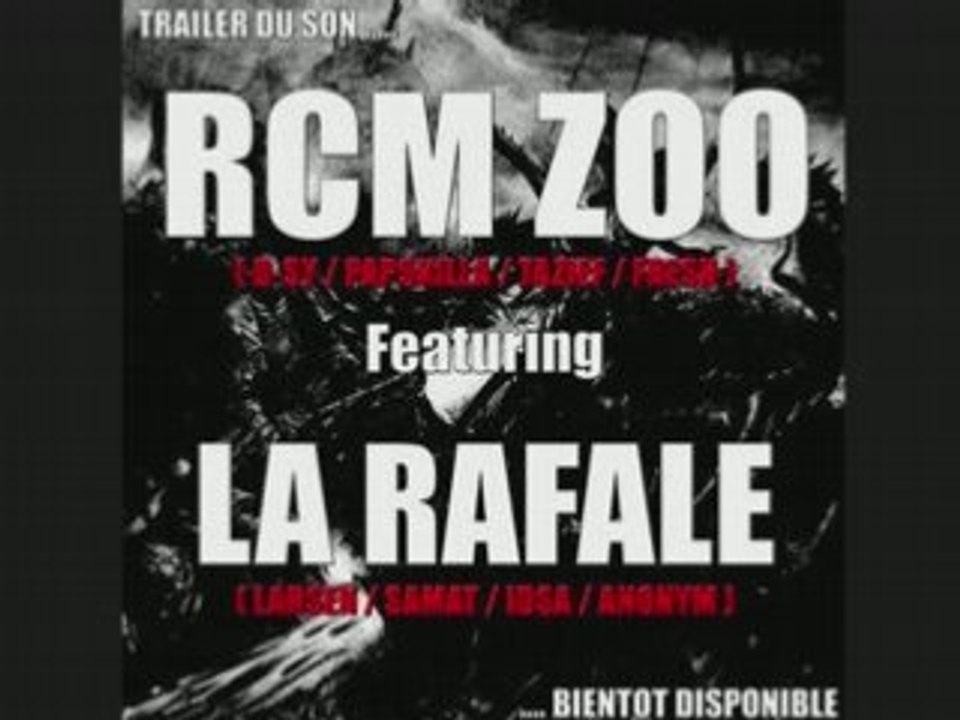 Rcm zoo ft la rafale c'est la meme zinc