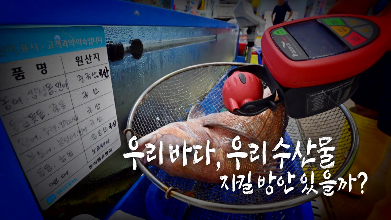 [영상] 후쿠시마 오염수 방류 D-1...어민 "당장 생계가 걱정" / YTN