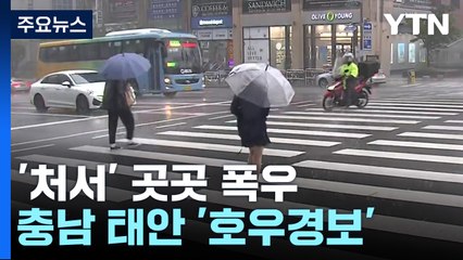 [날씨] 절기 '처서' 비 내리며 무더위 주춤...서쪽·제주도 호우특보 / YTN