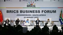 ¿Qué esperar de la cumbre de los BRICS?