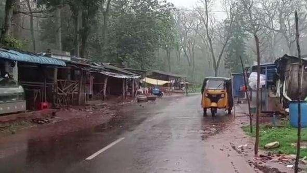 అల్లూరి జిల్లా: జిల్లాలో విస్తారంగా వర్షాలు.. 5...