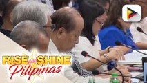 Presyo ng bigas at sibuyas, naungkat sa budget hearing ng DA