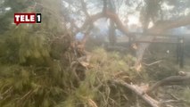 Çanakkale'de yanan ağaç kurtarma ekibinin üzerine devrildi