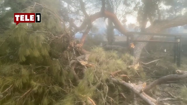 Çanakkale'de yanan ağaç kurtarma ekibinin üzerine devrildi