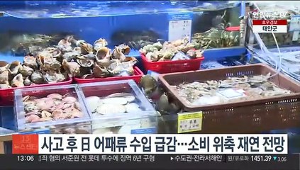 사고 후 日 어패류 수입 급감…소비 위축 재연 전망