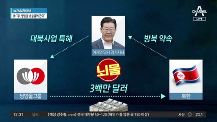 檢, 이재명 입건하며 ‘제3자 뇌물’ 혐의 적용