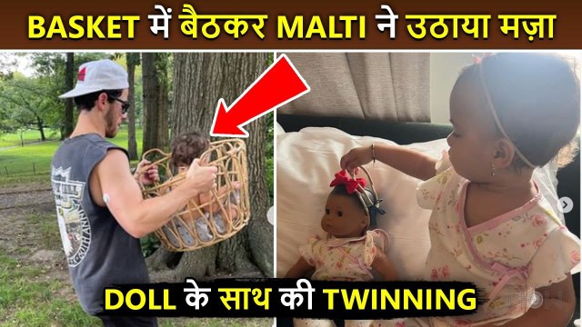 ADORABLE! Malti Marie Dressed Up Like Her Doll, Papa Nick Carries His Daughter In A Basket