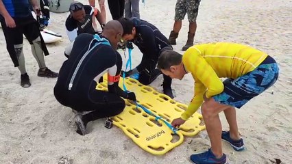 Nouvelle tentative de ramener le baleineau au large