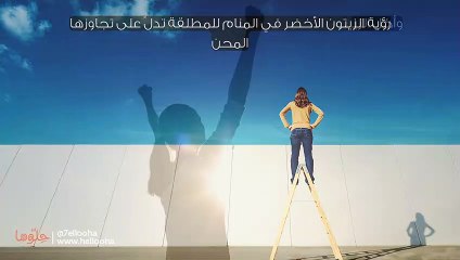 رؤية الزيتون الأخضر في المنام للمطلقة