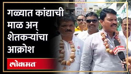 कांदा उत्पादकांना मोठा फटका... एका दिवसात कांद्याचे दर...