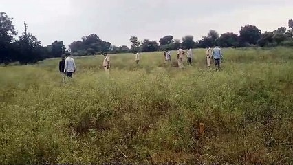 News of leopard sighting in Burhanpur is rumored