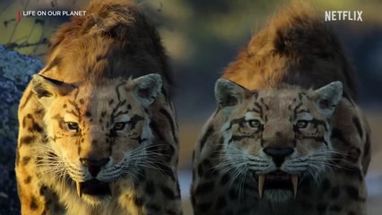 Life on Our Planet - S01 Teaser Trailer (English) HD