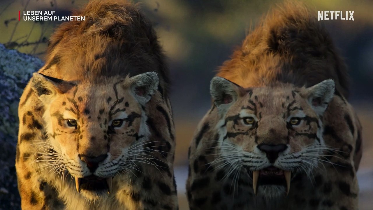Leben auf unserem Planeten - S01 Teaser Trailer (Deutsch) HD