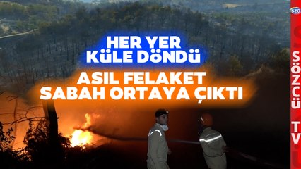 Çanakkale Orman Yangını Havadan ve Karadan Görüntülendi! Can Damarı Kül Oldu