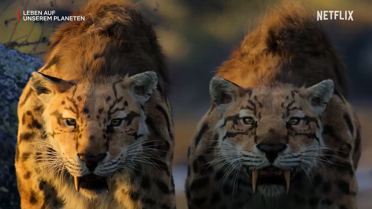 Leben auf unserem Planeten Trailer OmdU