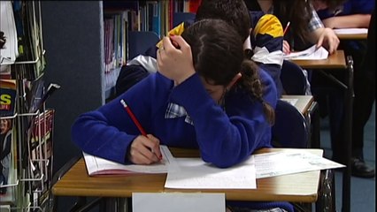 One in three not meeting numeracy and literacy expectations