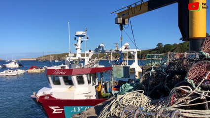 Île de Houat  | La vie du port en été  | Île de Houat TV