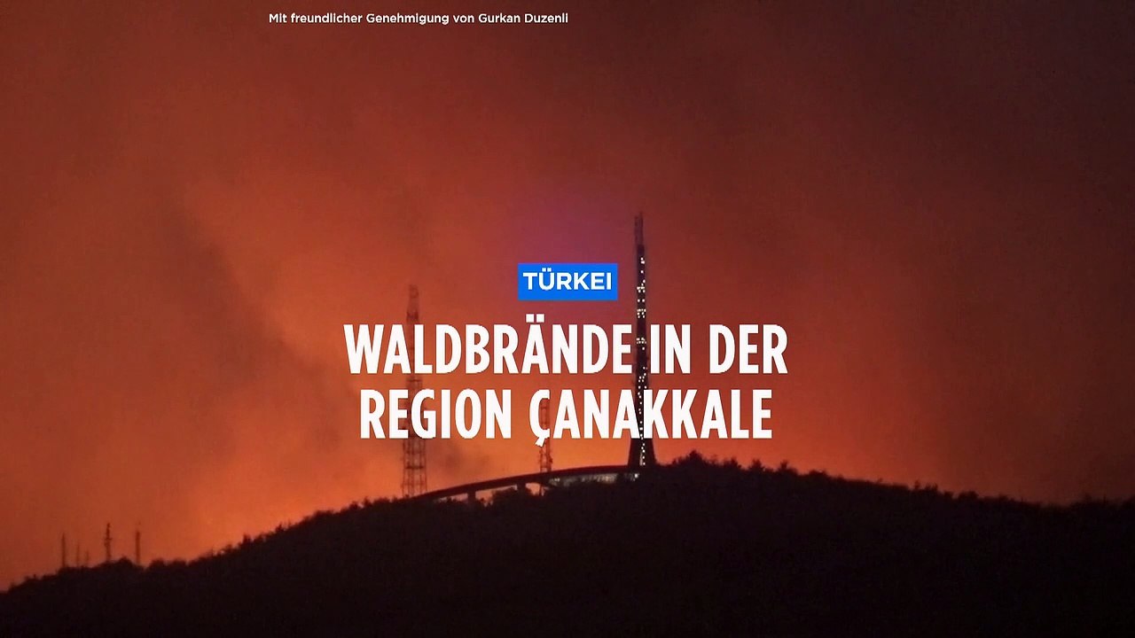 Türkei: Waldbrand in Çanakkale, Meerenge der Dardanellen betroffen