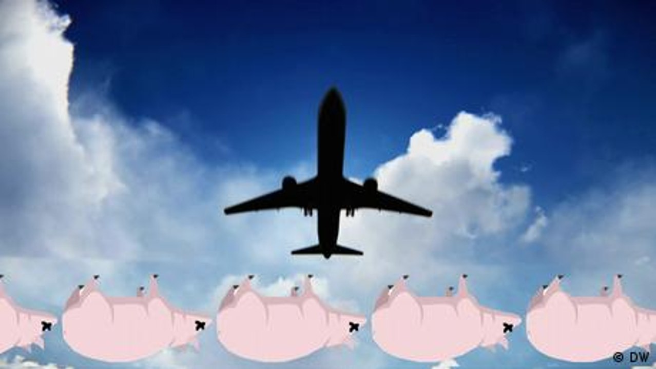 Bedenklicher Biosprit: Fliegen mit Schweinefett