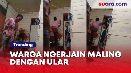 Heboh Maling di Aceh Ditakuti Ular, Warganet: Semoga Kapok!