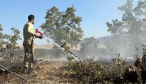 Siirt'te orman yangını, 17 saatte kontrol altına alındı