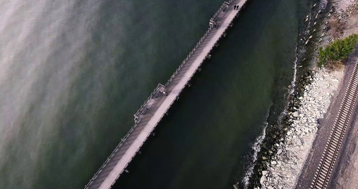bridge drones