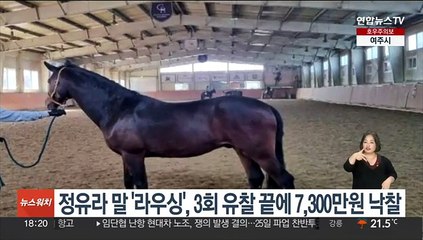 정유라 말 '라우싱', 3회 유찰 끝에 7,300만원 낙찰