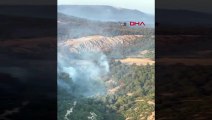 L'incendie de forêt à Çanakkale est suivi par le ministère de l'Agriculture et des Forêts