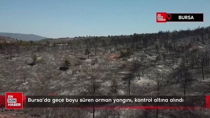 Bursa'da gece boyu süren orman yangını, kontrol altına alındı