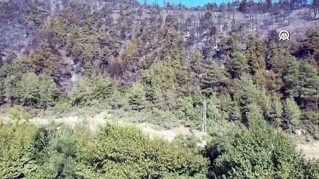 Bilecik ve Bursa'daki orman yangını, 18'inci saatinde kontrol altına alındı