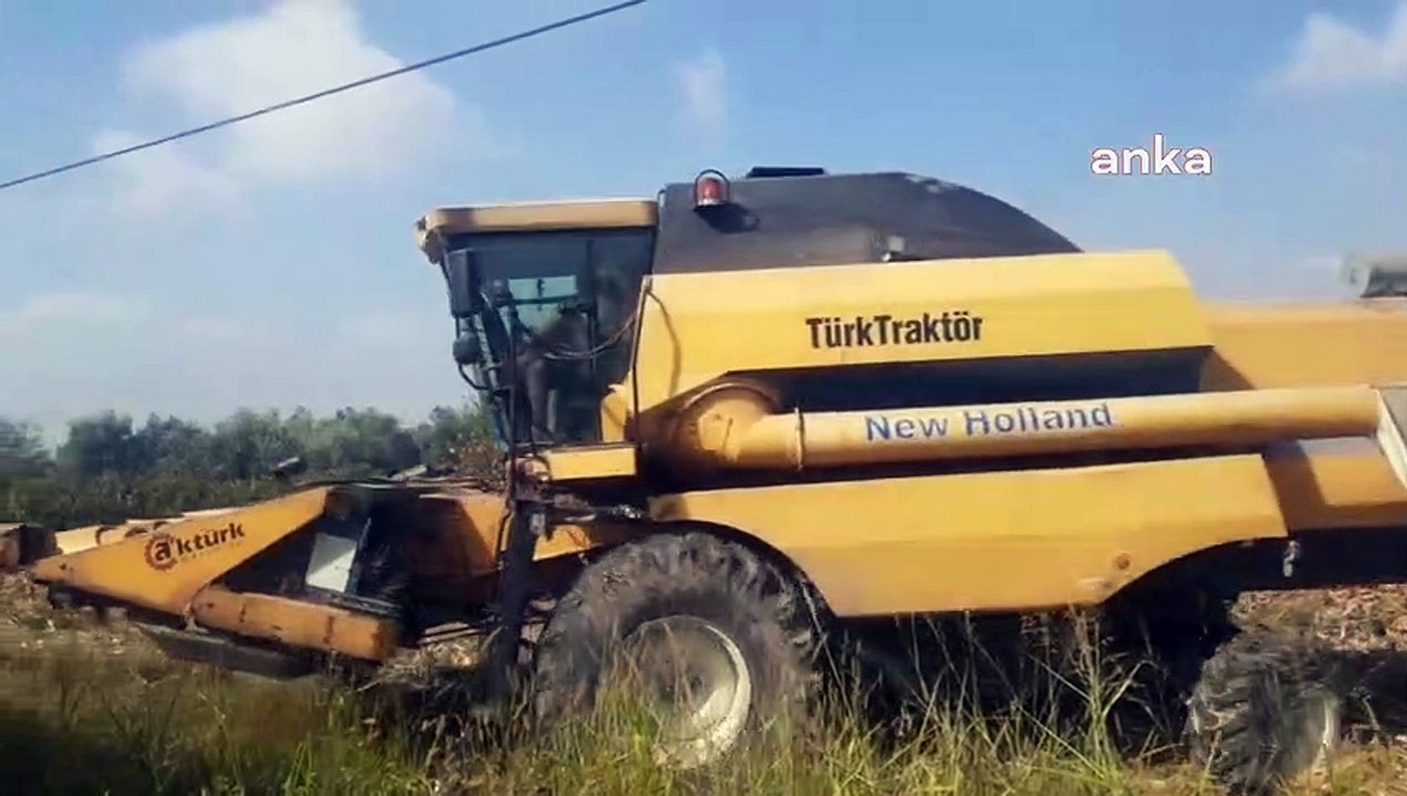 Mısır Üreticileri Mısır Taban Fiyatına Tepki Gösterdi