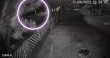 escador 'escapa da morte' em fuga de BMW com peças de fuzil em Palhoça