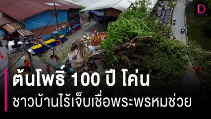 ต้นโพธิ์ 100 ปีข้างศาลหักโค่น ชาวบ้านไร้เจ็บเชื่อพระพรหมช่วย | HOTSHOT เดลินิวส์ 23/08/66