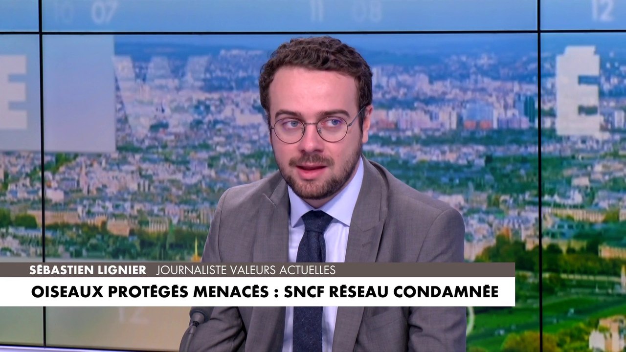 Sébastien Lignier : «Je ne suis pas certain que sauver deux trois petits oiseaux et embêter la SNCF à longueur de journée ne règle le problème de la biodiversité en France»