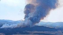 Eskişehir'de anız yangını orman yangınına neden oldu