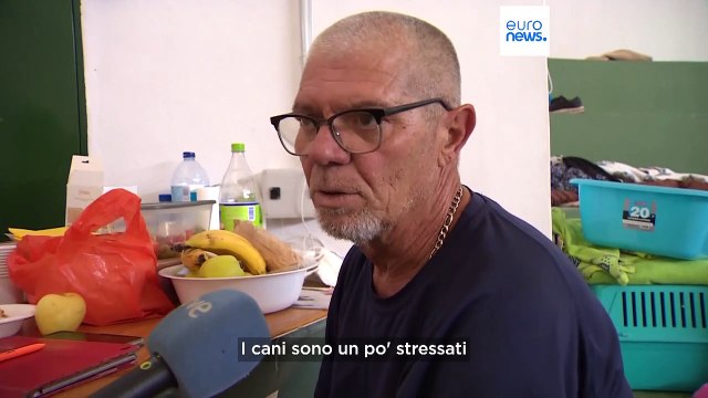 Incendi in Europa: gli animali selvatici e domestici, ignorati dai media e ritenuti morti di serie B