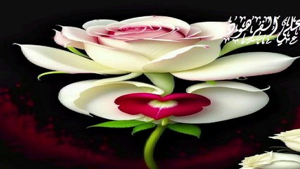 أروع التلاوات المبكية مؤثرة قناة علي الفرهود