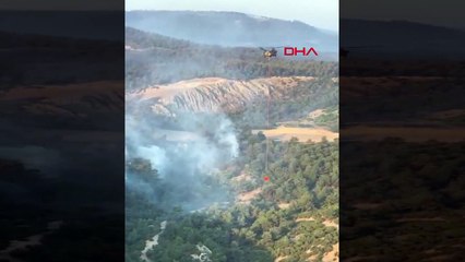 Çanakkale'deki Orman Yangını Tarım ve Orman Bakanlığı Tarafından Takip Ediliyor