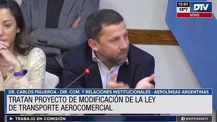 Avanza en Diputados el proyecto que busca proteger la estatización de Aerolíneas Argentinas
