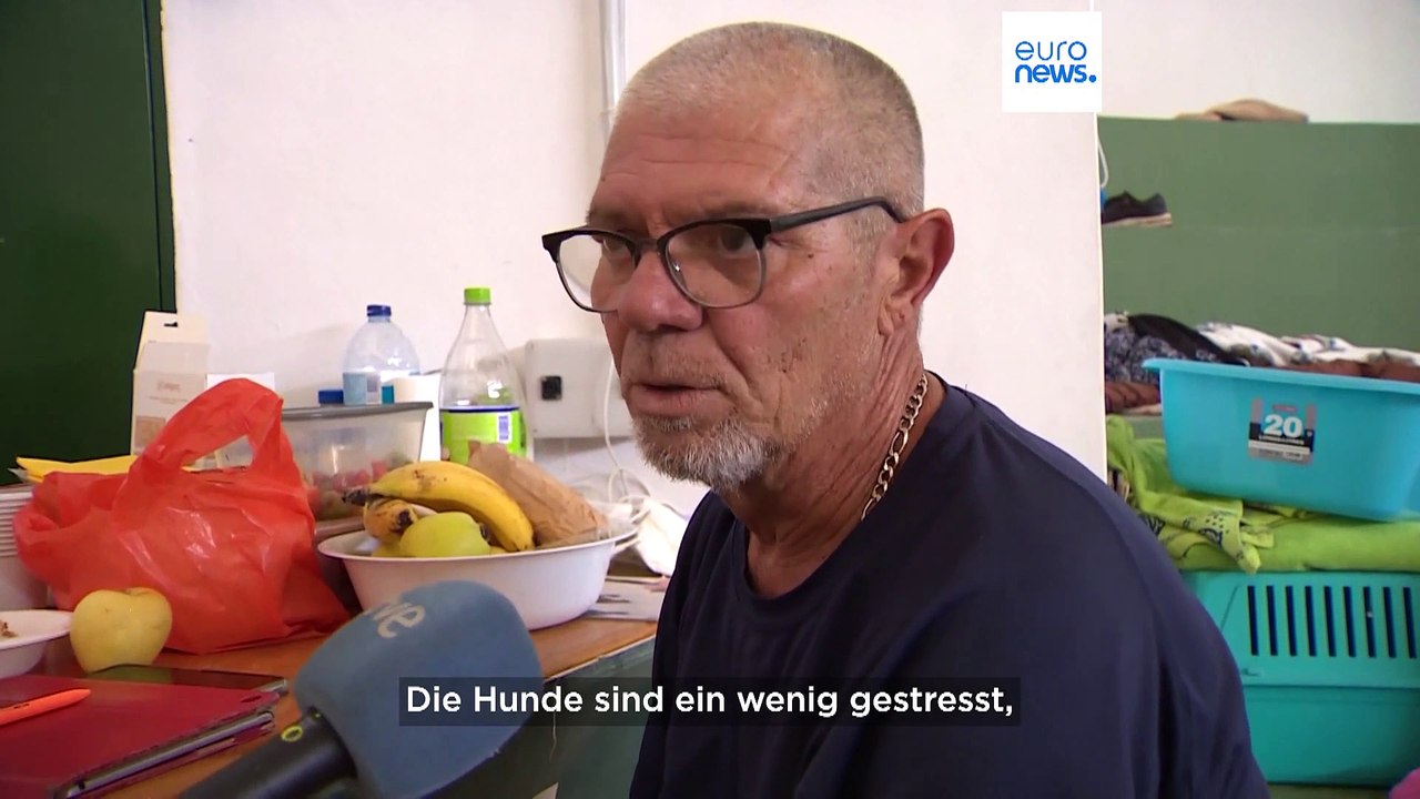 Waldbrandopfer ohne Lobby: Wie Freiwillige sich um Haustiere kümmern