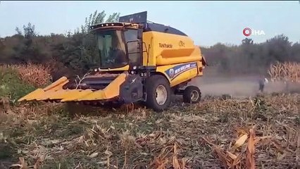 Récolte de maïs à haut rendement à Osmaniye