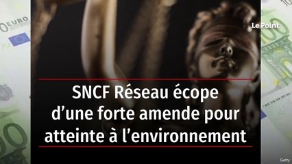SNCF Réseau écope d’une forte amende pour atteinte à l’environnement
