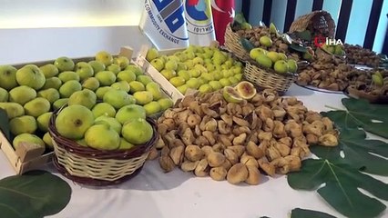 Première figue séchée de la saison achetée à Aydın pour 350 TL