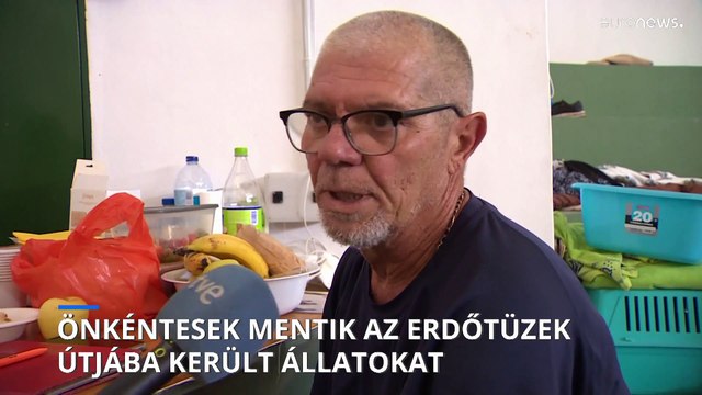 Önkéntesek mentik az erdőtüzek útjában hagyott állatokat Görögországban és Tenerifén