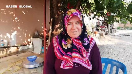 'Yeşil altın' için hasat zamanı: Yaş fiyatı 200 TL'yi buluyor