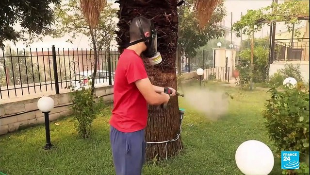 Incendies en Grèce : les flammes se rapprochent d'Athènes, trois quartiers de la capitale ont été évacués