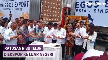 Ekspor Ratusan Ribu Telur saat Harga Tinggi, Menteri Pertanian: Sebuah Kesempatan Besar