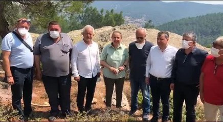 CHP Genel Başkan Yardımcısı Semra Dinçer, Çanakkale'deki Orman Yangınını İnceledi